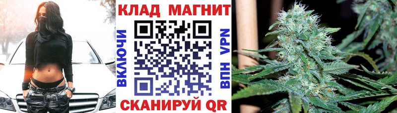 Что такое Новосибирск Псилоцибиновые грибы  Меф  Alpha PVP  Каннабис  АМФ  ГАШИШ  Кокаин 