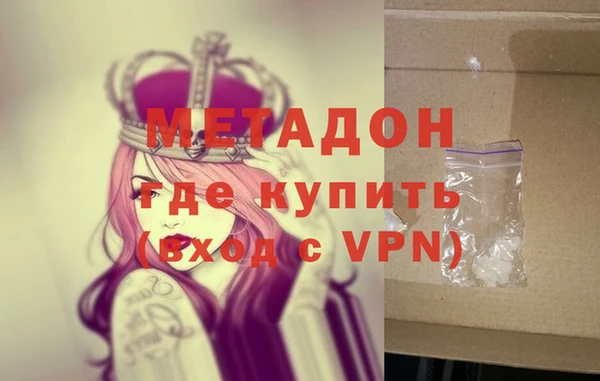 прущие грибы Бронницы