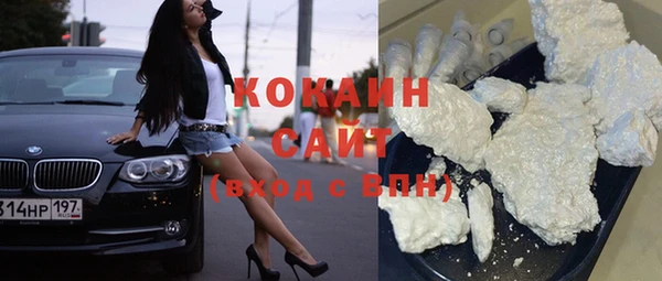 прущие грибы Бронницы