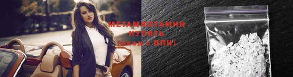 прущие грибы Бронницы