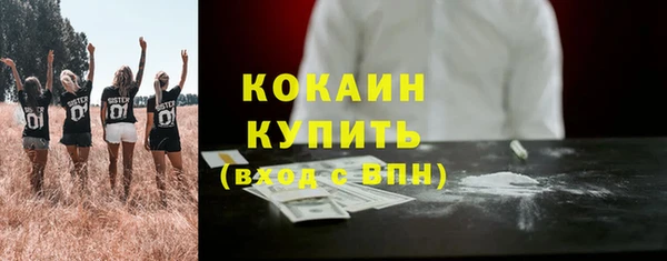прущие грибы Бронницы