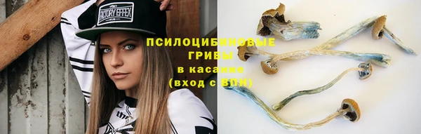герыч Бородино