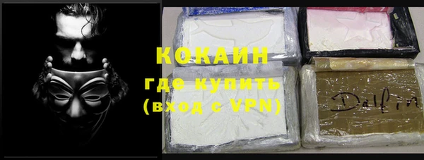 прущие грибы Бронницы