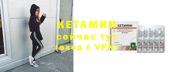 прущие грибы Бронницы