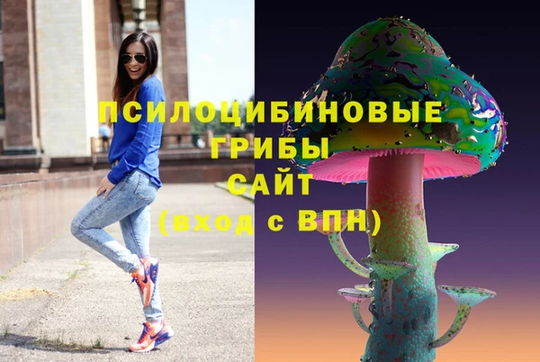 прущие грибы Бронницы