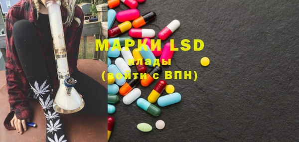 прущие грибы Бронницы