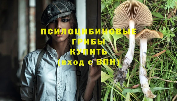 герыч Бородино