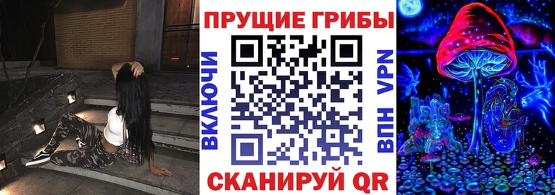 hydra сайт  магазин продажи наркотиков  Новосибирск  Псилоцибиновые грибы мицелий 